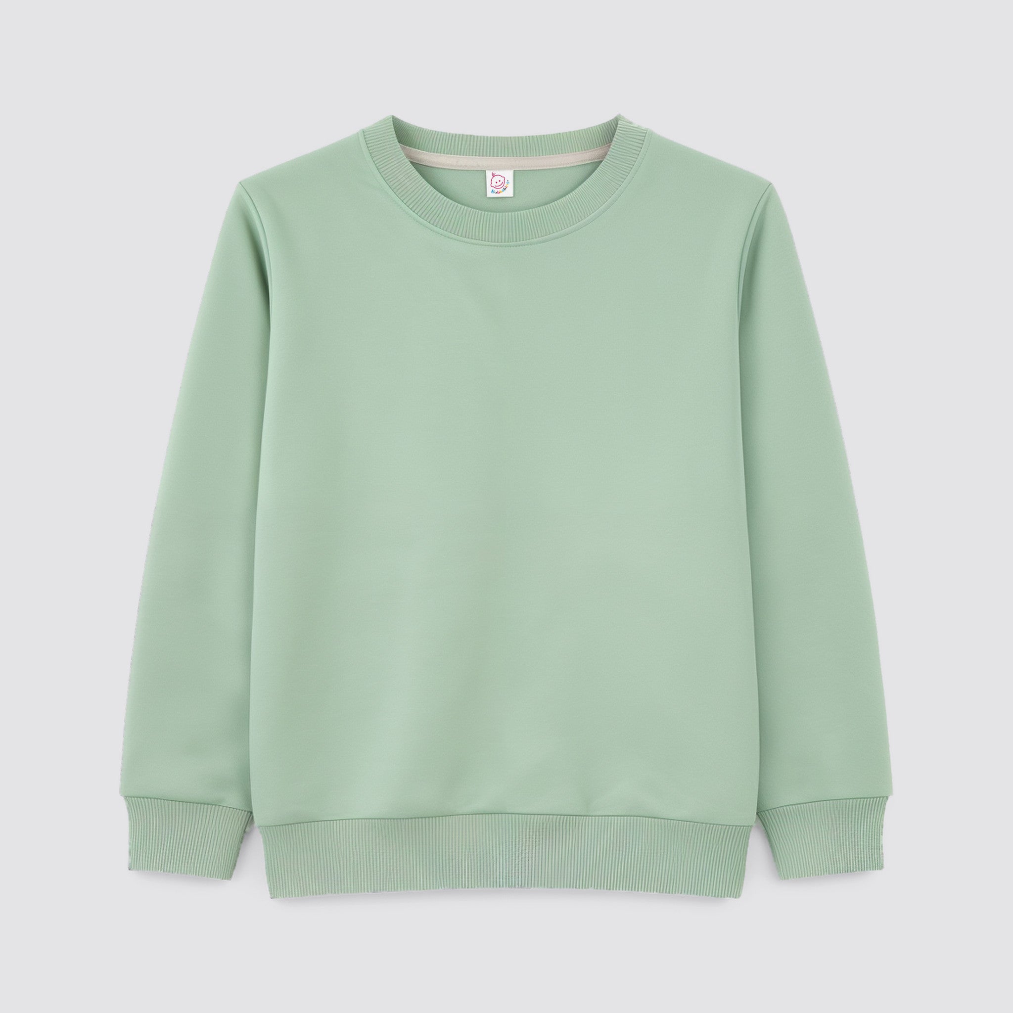 Adult polyester sweatshirt blank for sublimation in Sage Green