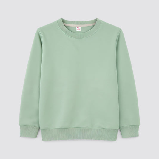 Adult polyester sweatshirt blank for sublimation in Sage Green